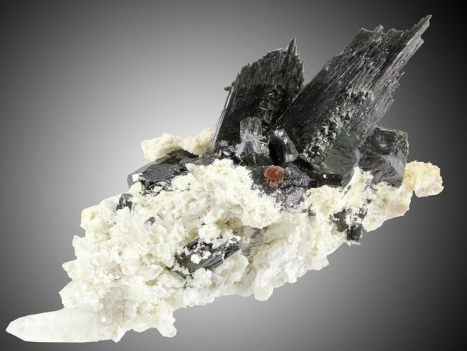 Schorl, Feldspar, and Quartz, Erongo Mountains, Namibia #31524